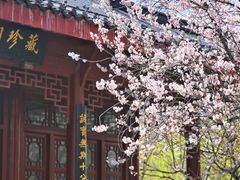 -堤角公园