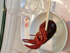 冰镇花雕小龙虾-杨氏青龙虾·羊蝎子(珠江路店)