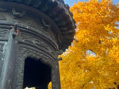 -龙华素斋(龙华路店)