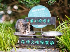 -静安公园(静安寺街道)