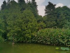 -海珠湖公园
