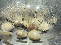 -水禾轩·海鲜蒸汽主题餐厅(拱北店)