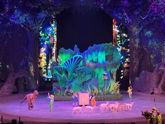 -广州长隆国际大马戏