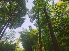 -成都杜甫草堂博物馆