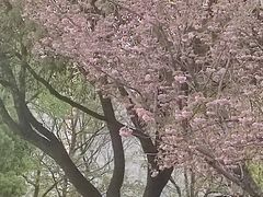 -白塘生态植物园