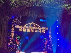 -广州长隆国际大马戏