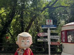 -鼎湖山风景区