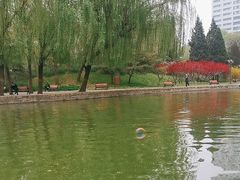 -团结湖公园
