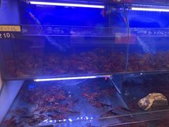 -虾铺子龙虾·私房菜(金源花苑店)