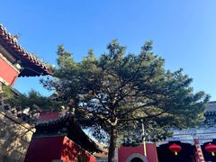 -泰山风景名胜区