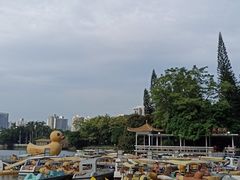 -荔枝公园(福田区)