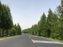 -塞罕坝国家级自然保护区