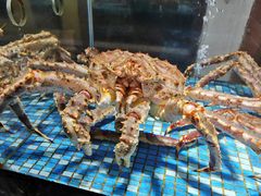 -广东道至正餐厅(区庄店)