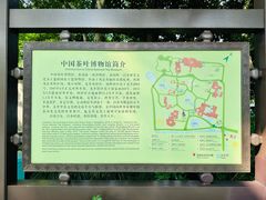 -中国茶叶博物馆(双峰馆区)