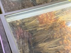 -八一湛江生蚝(文明东路总店)