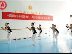 -西安小天鹅艺术团(曲江Alice店)