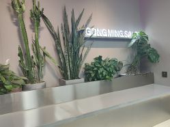 -宫铭烫发染发接发店