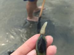 -北海金海湾红树林生态旅游区