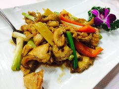 -蒲园食堂(中山大学广州校区南校园店)