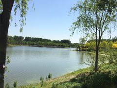-东郊湿地公园