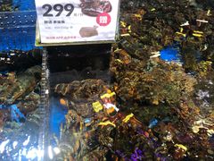 -盒马X会员店(王府井奥莱UP TOWN店)