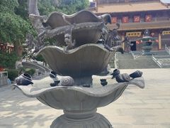 -南京市江宁方山