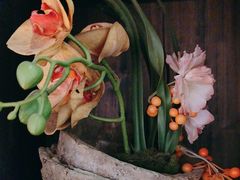 -春天来了(印象新天地店)