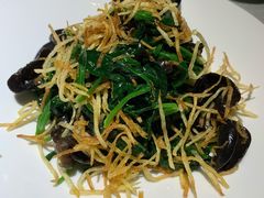 菠菜苗拌木耳-旺顺阁鱼头泡饼(常营店)