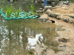 -苏州河梦清园环保主题公园