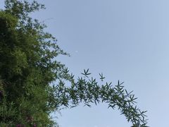 -沐仙湖湿地公园