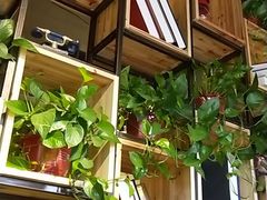 -小小河边鱼(天润城店)