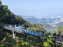 -黄埔油麻山森林公园