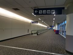 -达拉斯 沃斯堡国际机场