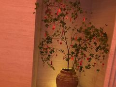 -舒小悦·舒养SPA·古法推拿(光环中心店)
