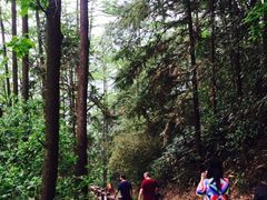 -藏龙百瀑风景区