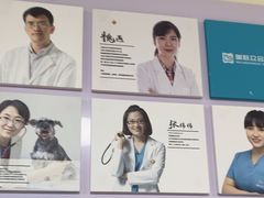 -美联众合动物医院·24h京西诊疗中心