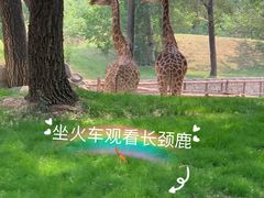 -北京野生动物园