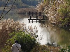 -白鹭湾湿地公园