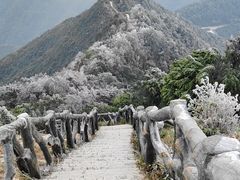 -梧桐山风景名胜区