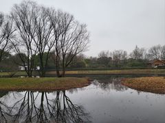 -西溪国家湿地公园