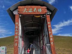 -黄河九曲第一湾