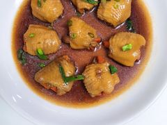 -天鹅到家·保姆月嫂育儿嫂(总店)
