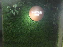 点击看大图 -V-STAR威斯达•高级私人定制