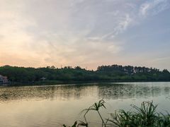 -南国桃园旅游度假区