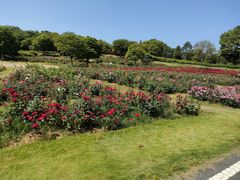 -宜兴龙背山森林公园