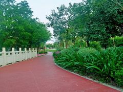 -大亚湾红树林城市湿地公园