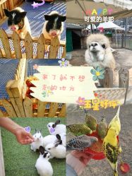 -萌宠亲子动物乐园(槐房万达店)