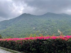 -梧桐山风景名胜区