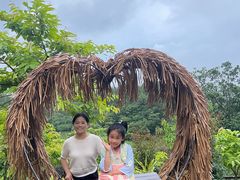 -广州白江湖森林公园