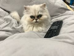 -超级鸡车(曹杨路店)